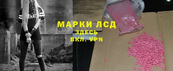 прущий лед Алзамай