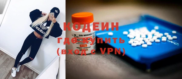крисы Магас