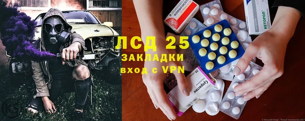 прущий лед Алзамай